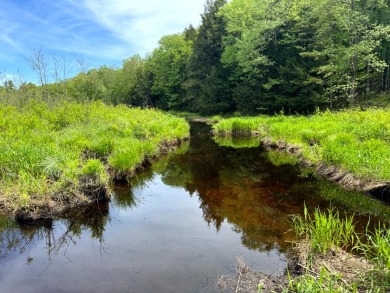 Private RV or Camp Getaway in Central New York - photo 4