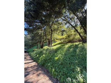 Rare development opportunity featuring 5 premium lots in the - photo 10