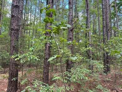 #73300-Welcome to Country Corner!! Set on 9.05 private acres in - photo 24