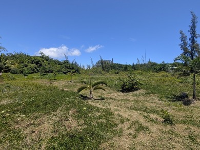 Rare opportunity to own over a half-acre of improved land just - photo 9