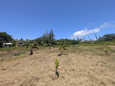 Rare opportunity to own over a half-acre of improved land just - photo 3