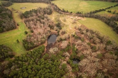 Lake Acreage For Sale in Birch Tree, Missouri