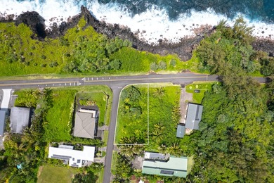 Lightly wooded lot across the street from the ocean available in - photo 1