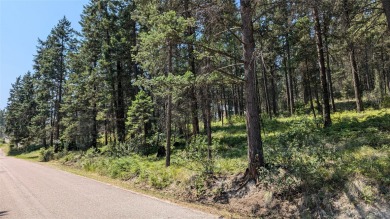 Flathead Lake Lot For Sale in Lakeside Montana