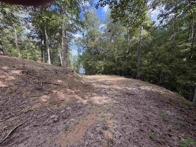 Rare opportunity to own a beautiful 1.72-acre waterfront - photo 3