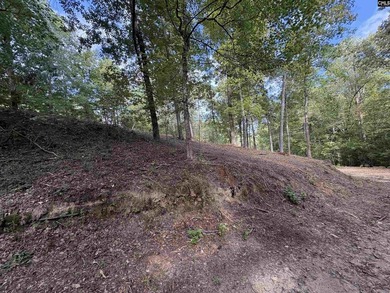 Rare opportunity to own a beautiful 1.72-acre waterfront - photo 4
