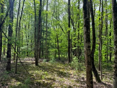 Private RV or Camp Getaway in Central New York - photo 8