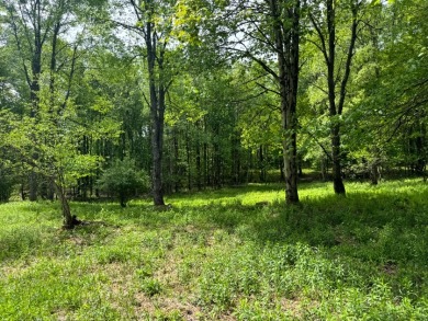 Private RV or Camp Getaway in Central New York - photo 3