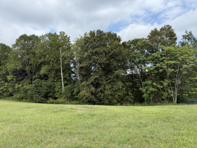 1.25 Building Lot in Enchanting Lake Cumberland Neighborhood - photo 5