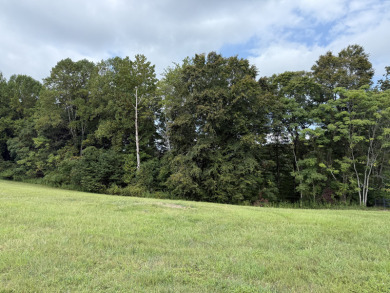 1.25 Building Lot in Enchanting Lake Cumberland Neighborhood - photo 3