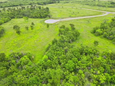 3+ Acre Offwater Lot with Boat Slip on Lake Halbert - photo 26