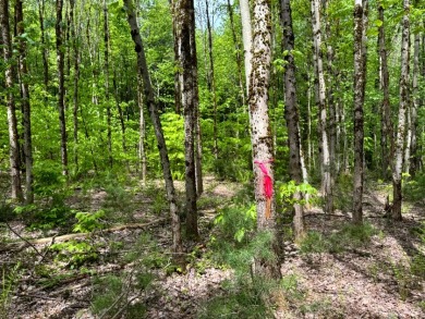 Private RV or Camp Getaway in Central New York - photo 18