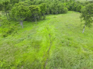 3+ Acre Offwater Lot with Boat Slip on Lake Halbert - photo 2