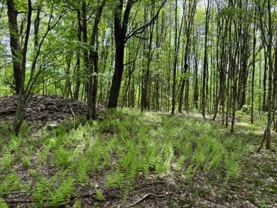 Private RV or Camp Getaway in Central New York - photo 20