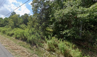 38-Acre Lot in St. Martin - Great Location! Excellent - photo 4