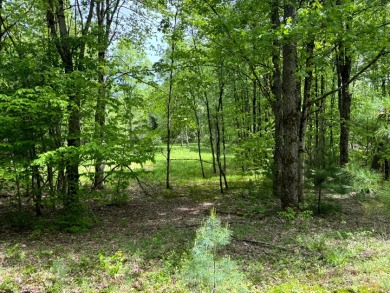 Private RV or Camp Getaway in Central New York - photo 16