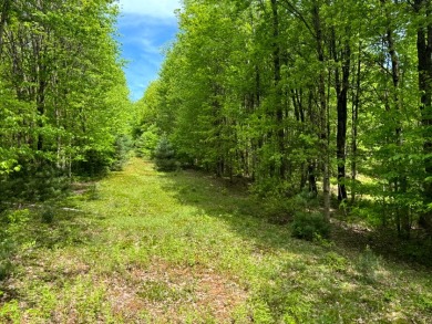 Private RV or Camp Getaway in Central New York - photo 17
