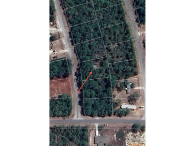 Lake Lot For Sale in Lake Placid, Florida