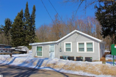 Lake Home For Sale in Cadillac, Michigan