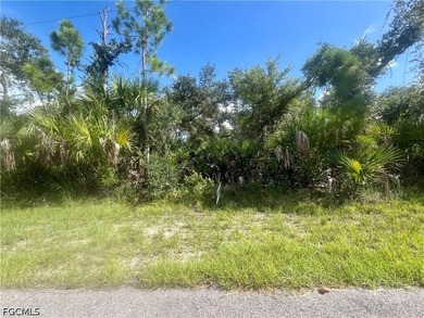 Beautifull lot offers a unique opportunity to build the home of - photo 1