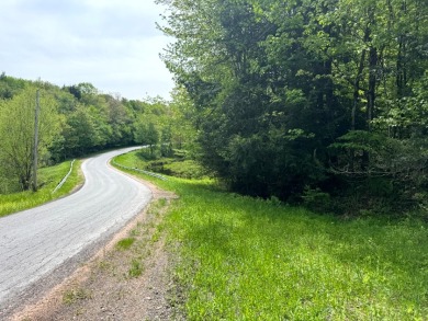 Private RV or Camp Getaway in Central New York - photo 12