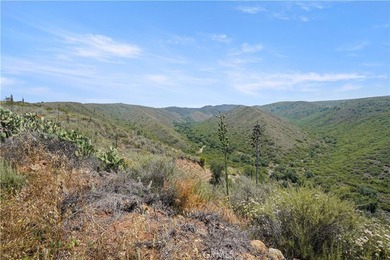 Vacant Land - photo 6