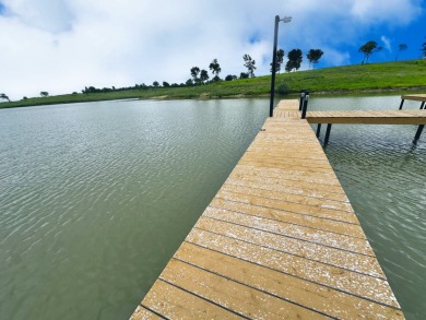 3+ Acre Offwater Lot with Boat Slip on Lake Halbert - photo 5