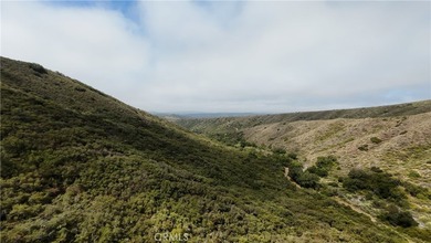 Vacant Land - photo 10