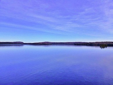 Cold Stream Pond Waterfront - Upgraded, Turnkey, and Ready for - photo 34