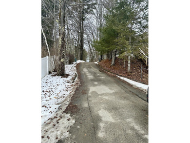 Cold Stream Pond Waterfront - Upgraded, Turnkey, and Ready for - photo 41