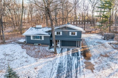 Lake Home For Sale in Minnetrista, Minnesota