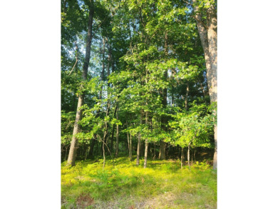 Lake Lot For Sale in Prudenville, Michigan