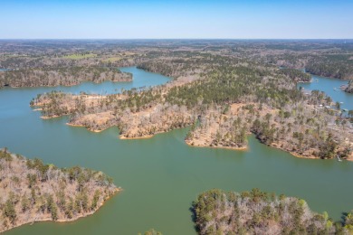 Lewis Smith Lake Lot For Sale in Houston Alabama
