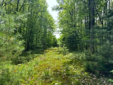 Private RV or Camp Getaway in Central New York - photo 7