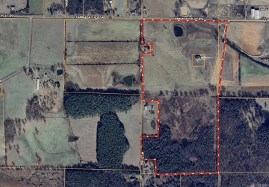 Custom Home on 76 Acres in Hector, Arkansas - Built in 2020