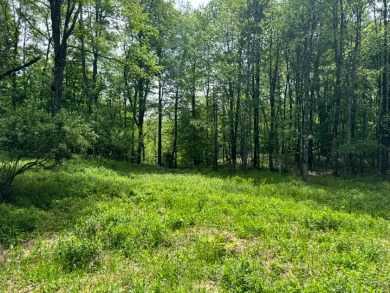 Private RV or Camp Getaway in Central New York - photo 11