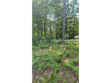 Lake Lot For Sale in Prudenville, Michigan