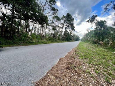 Beautifull lot offers a unique opportunity to build the home of - photo 3