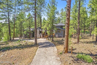 Spectacular Forest Highlands home with amazing space situated - photo 4