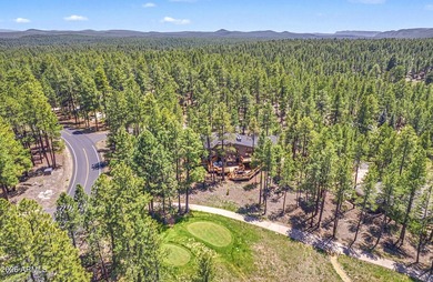 Spectacular Forest Highlands home with amazing space situated - photo 7