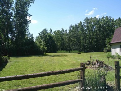 Located just 10 minutes from downtown Caro. This 3-bedroom, 1 - photo 14