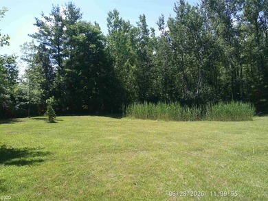 Located just 10 minutes from downtown Caro. This 3-bedroom, 1 - photo 19