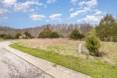 Boltz Lake Lot For Sale in Dry Ridge Kentucky