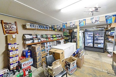 Prime commercial buildings in Homosassa, FL, featuring a total - photo 21