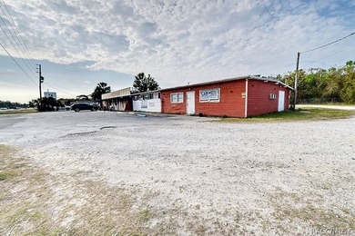 Prime commercial buildings in Homosassa, FL, featuring a total - photo 27