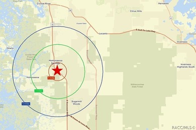 Prime commercial buildings in Homosassa, FL, featuring a total - photo 32