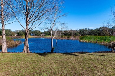 PRICE REDUCTION.... WELL BELOW COMP VALUE! EMBRACE WATER FRONT - photo 33