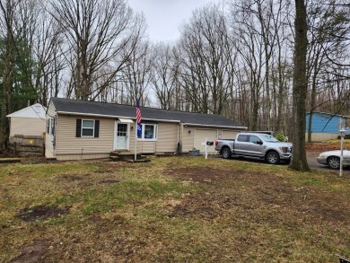 Lake Home For Sale in Kunkletown, Pennsylvania