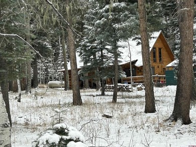 Vallecito Lake Home For Sale in Bayfield Colorado