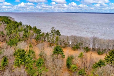 Tremendous opportunity to have sandy shoreline on Lake - Lake Lot For Sale in Nekoosa, Wisconsin